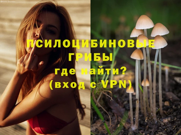 экстази Карпинск