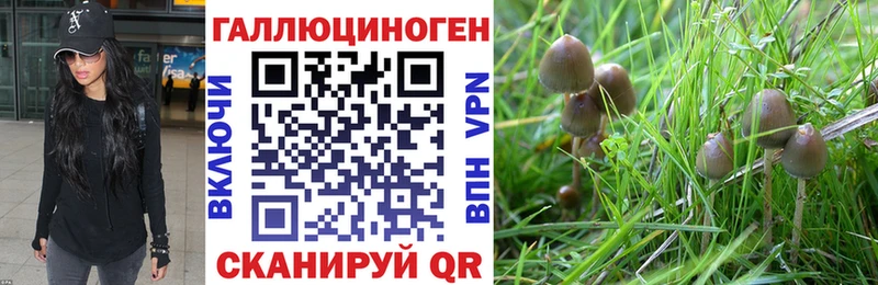Галлюциногенные грибы Magic Shrooms Короча