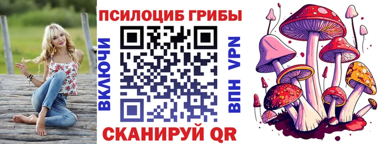 где можно купить наркотик  KRAKEN ссылки  дарк нет клад  Короча  Псилоцибиновые грибы Psilocybine cubensis 